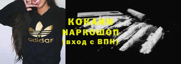 PSILOCYBIN Алзамай