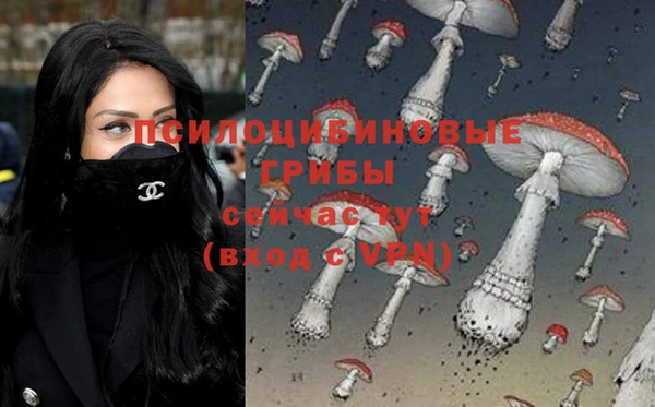 ECSTASY Алексин