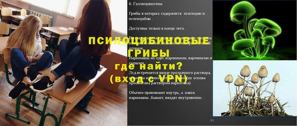 PSILOCYBIN Алзамай